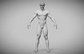 Image result for Medium Build 3D Human Character