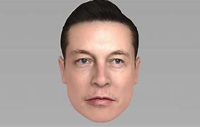 Image result for Elon Musk 2D Model