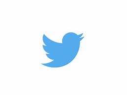 Image result for Animated Twitter Logo