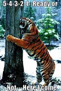 Image result for Siberian Tiger Meme