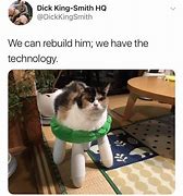 Image result for Cat On Stool Meme