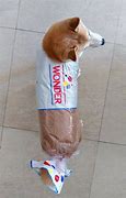 Image result for Dog in Costume Meme