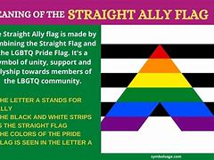 Image result for Straight Allies Pride Flag