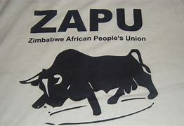 Image result for co_to_za_zapu