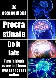 Image result for Expanded Brain Meme