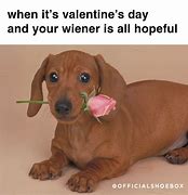 Image result for Valentine's Day Animal Memes