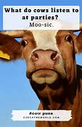 Image result for Cow Milk Meme