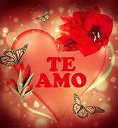 Image result for Te Amo
