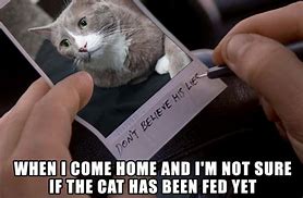 Image result for Business Cat Meme Work