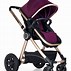 Image result for Luxury Baby Strollers
