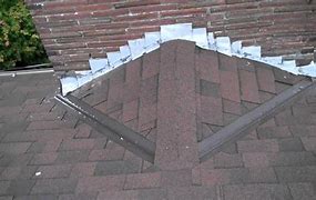 Image result for Roof Cricket