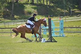 Image result for Show Jumping Photography