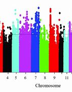 Image result for Homozygosity