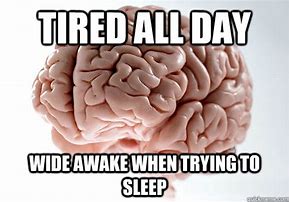 Image result for Brain Awake Meme