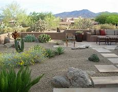 Image result for DIY Desert Landscaping