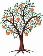 Image result for Apple Tree Drawing