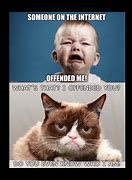 Image result for Funny Cat Memes Twitter