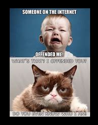 Image result for Grumpy Cat Hate Memes