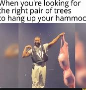 Image result for Flip Out of Hammock Meme