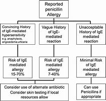 Image result for Antibiotic Allergy