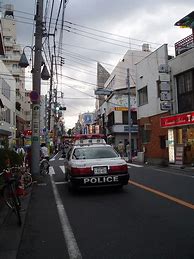 Image result for Japanese Police Officer