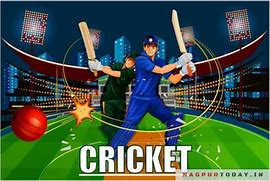 Image result for Cricket Game
