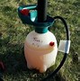 Image result for Homemade Apple Tree Spray