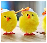 Image result for Cute Facebook Covers