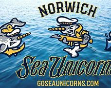 Image result for Norwich Sea Unicorns