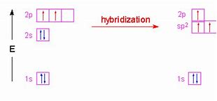 Image result for Ethylene Hybridization