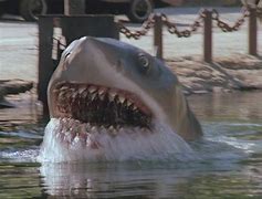 Image result for Jaws 12