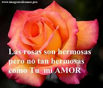 Image result for Frases De Amor Con Flores