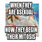 Image result for Asexual Memes Mitosis