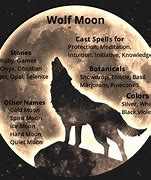 Image result for Wolf Name Moon Moon