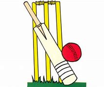 Image result for Indoor Cricket Symbol