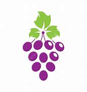 Image result for Grape Wine Label
