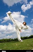 Image result for Woman Martial Arts Kick