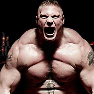 Image result for MMA Muscle