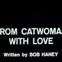 Image result for Adventures of Batman Catwoman