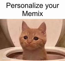 Image result for Cat Toilet Meme