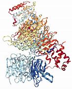 Image result for Composition Casein Protein