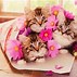 Image result for Birthday Party Cat Thoughts