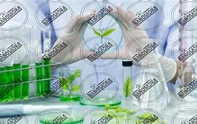 Image result for Nanotechnology Products