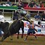 Image result for Beau Maine Rodeo