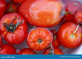 Image result for Wet Fruits and Vegetables Background
