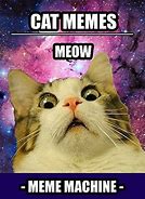 Image result for Bad Advice Cat Meme