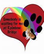 Image result for Rainbow Bridge Dog Meme