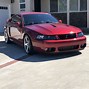 Image result for 2003 Saleen Mustang Cobra