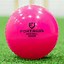 Image result for Qwik Cricket Ball