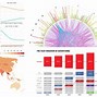 Image result for Visual Chart Types